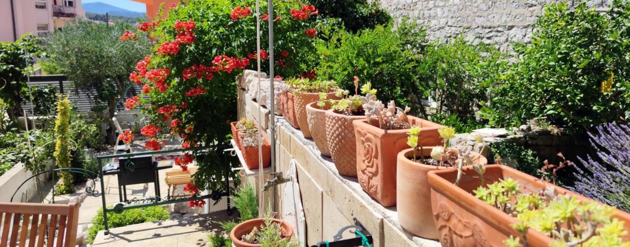 Apartment Alena With Terrace And Garden Center Jelsa Jelsa  Kültér fotó