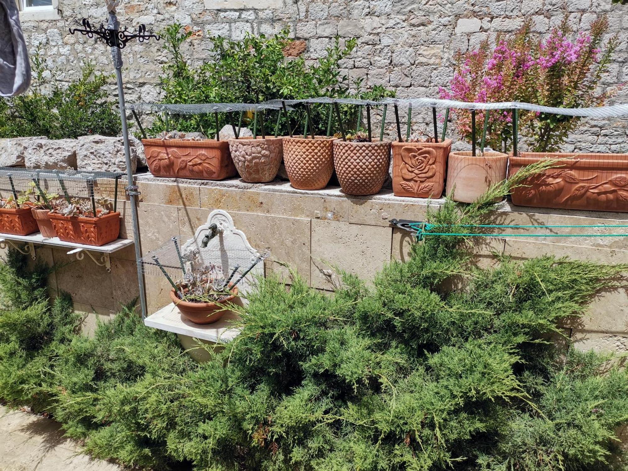 Apartment Alena With Terrace And Garden Center Jelsa Jelsa  Kültér fotó